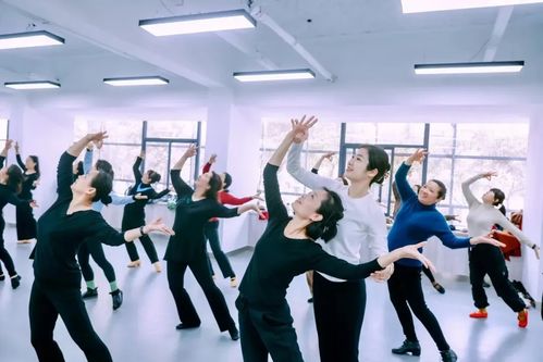 文艺赋美 公益课程 摄影活动 民俗文化...体验艺术之旅
