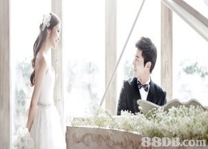 boom photo 提供婚纱外影,婚礼拍摄,韩国婚纱摄影等服务